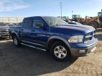 2011 Dodge Ram 1500  zu verkaufen in Albuquerque, NM - Vandalism