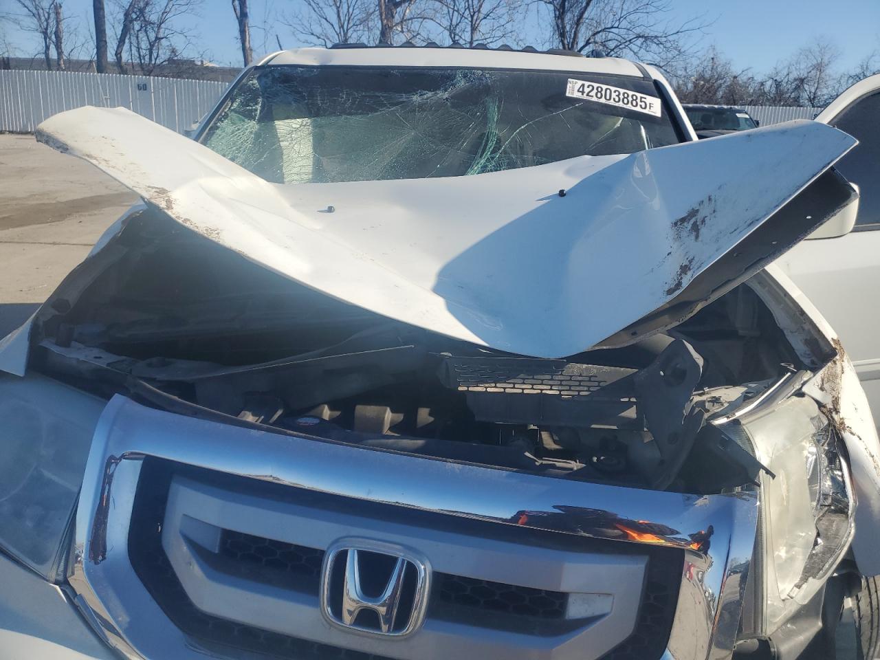 2011 Honda Pilot Exl VIN: 5FNYF4H58BB026696 Lot: 42803885