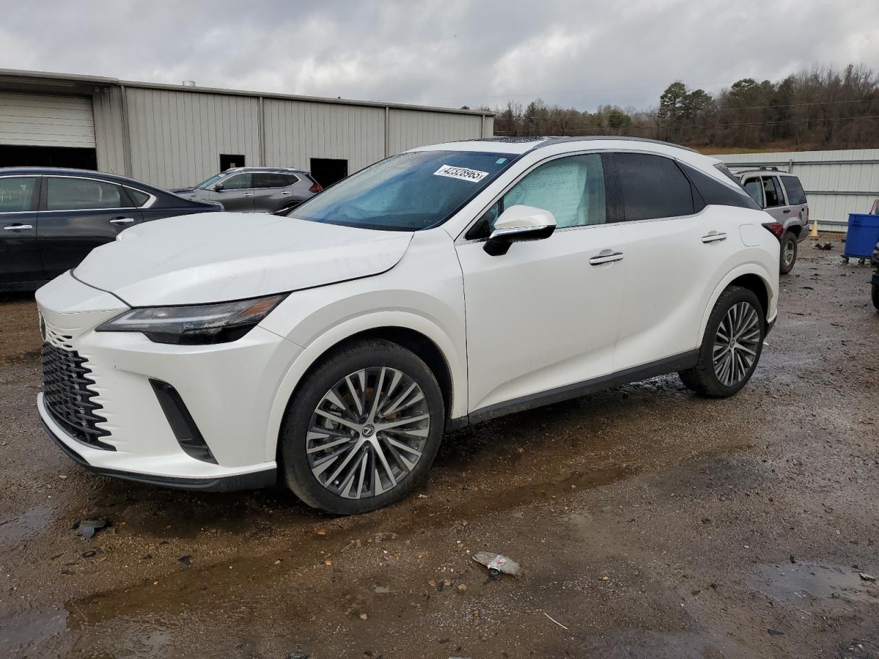 2024 Lexus RX - Image 1