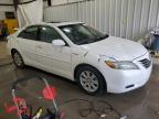 2009 Toyota Camry Hybrid for Sale in Earlington, KY - All Over