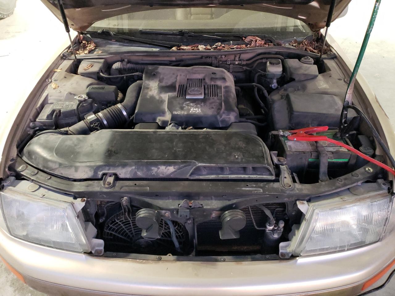 1996 Lexus Ls 400 VIN: JT8BH22F8T0066118 Lot: 42931195