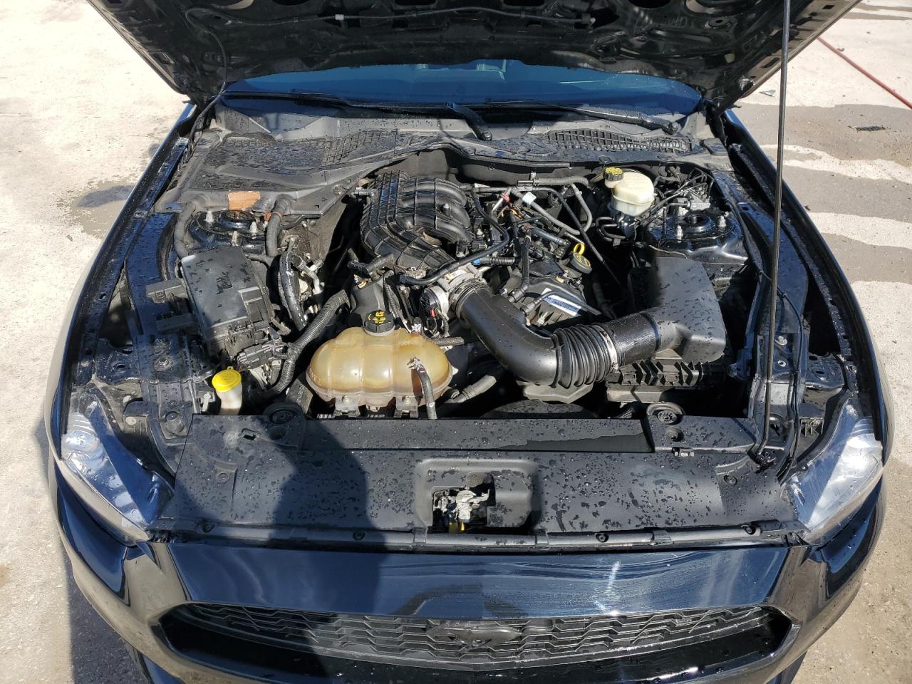 2017 Ford Mustang VIN: 1FA6P8AM3H5207721 Lot: 88697805