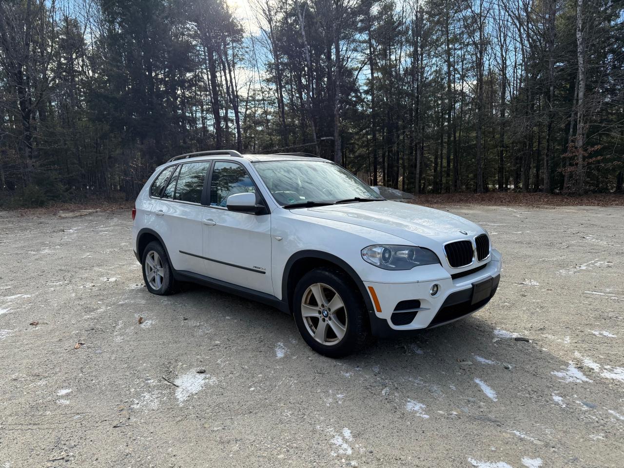 VIN 5UXZV4C51D0B03698 2013 BMW X5 no.1