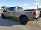 2013 Ford F150 Supercrew للبيع في Orlando، FL - Rear End