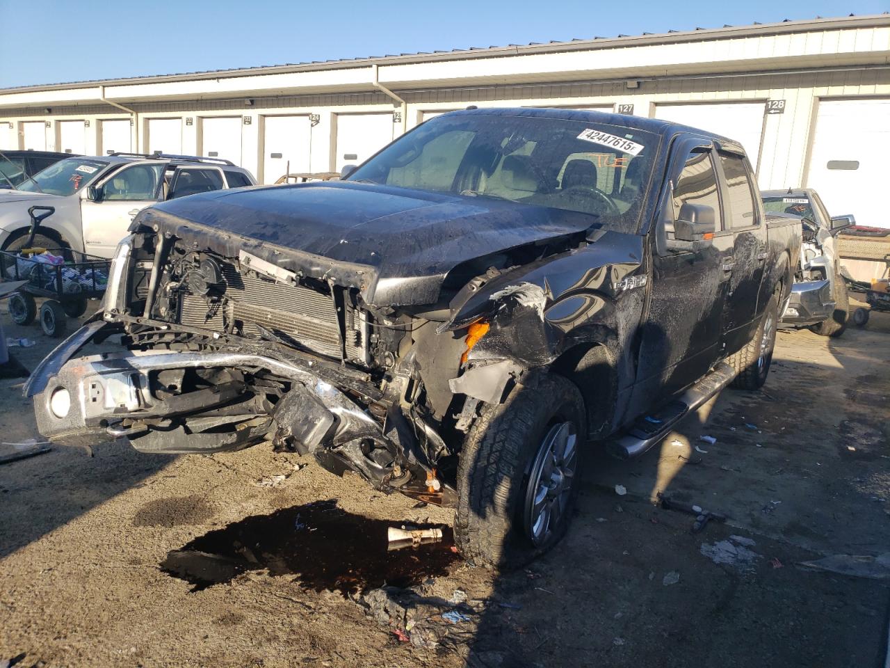 2014 Ford F-150 - Image 1