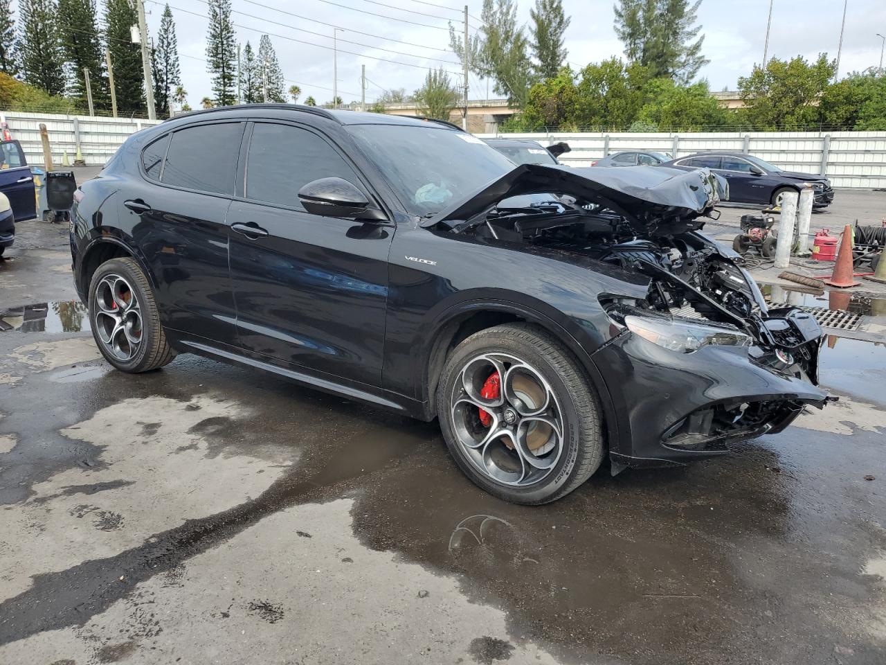 2024 Alfa Romeo Stelvio - Image 4