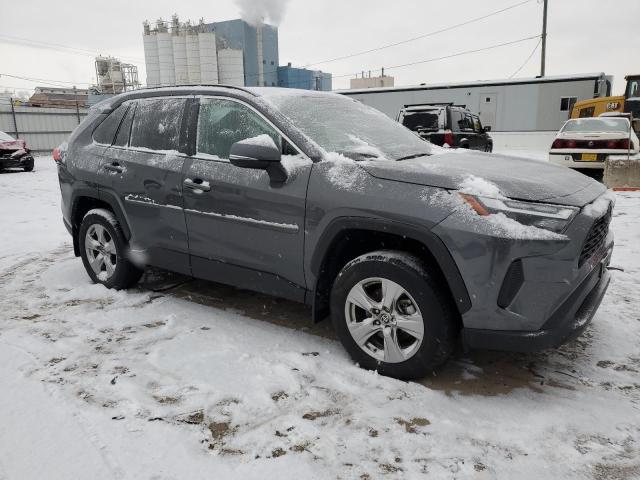  TOYOTA RAV4 2022 Gray