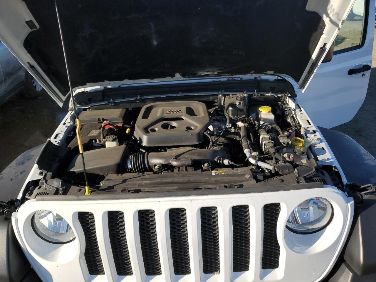2019 Jeep Wrangler - Image 12