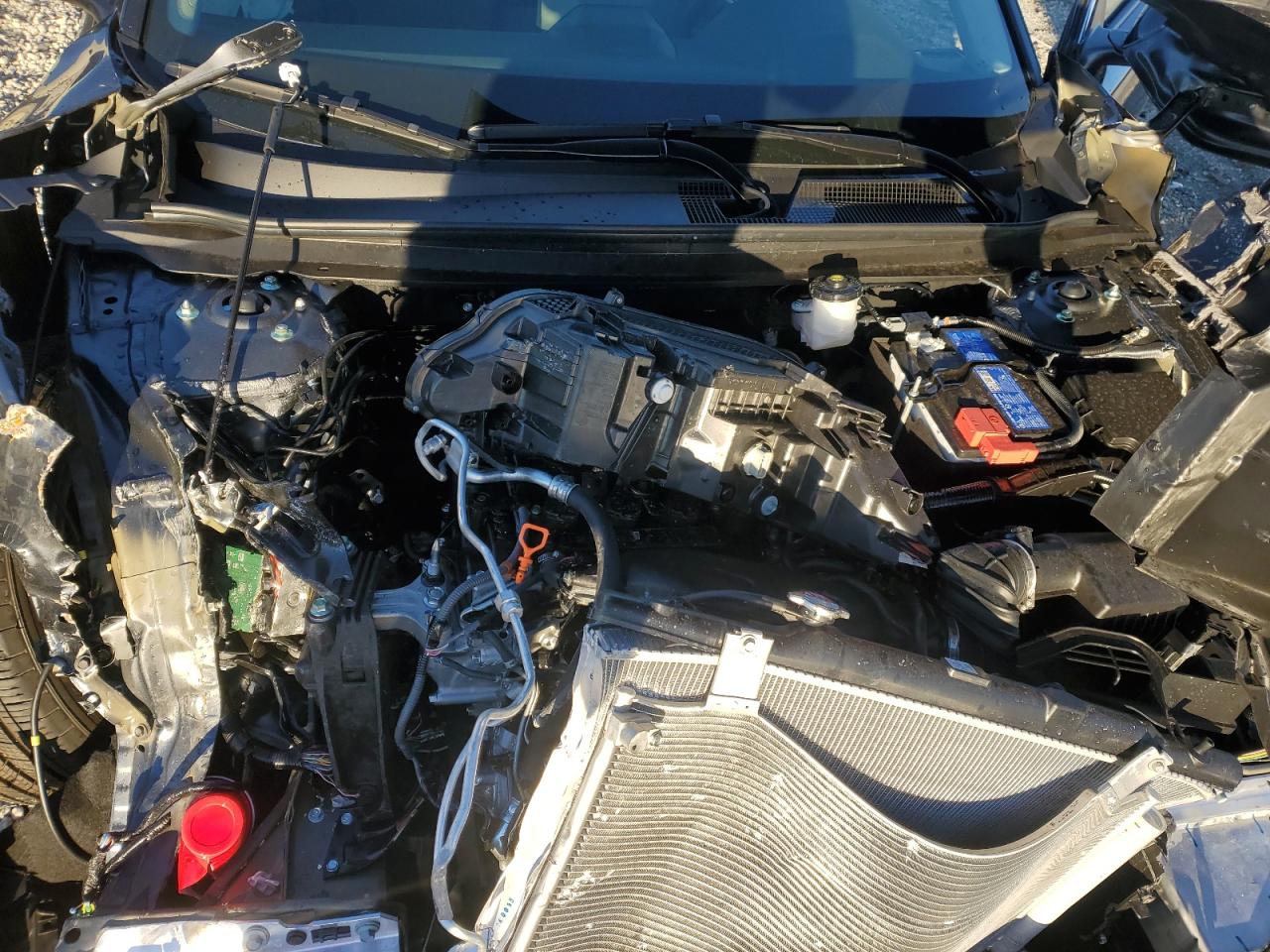 2025 Honda Accord Lx VIN: 1HGCY1F20SA008800 Lot: 41567035
