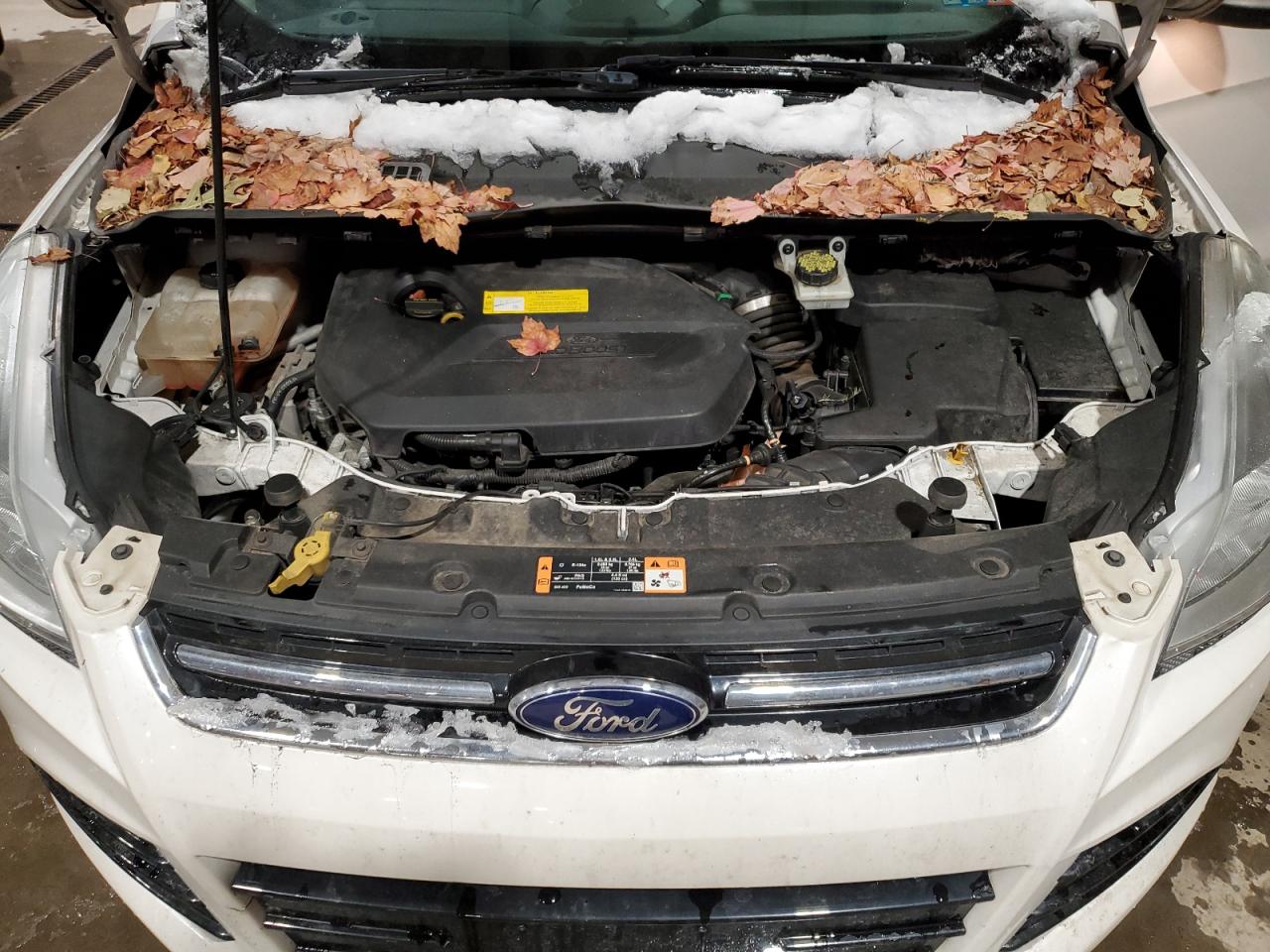 VIN 1FMCU9JX2FUB02057 2015 FORD ESCAPE no.12