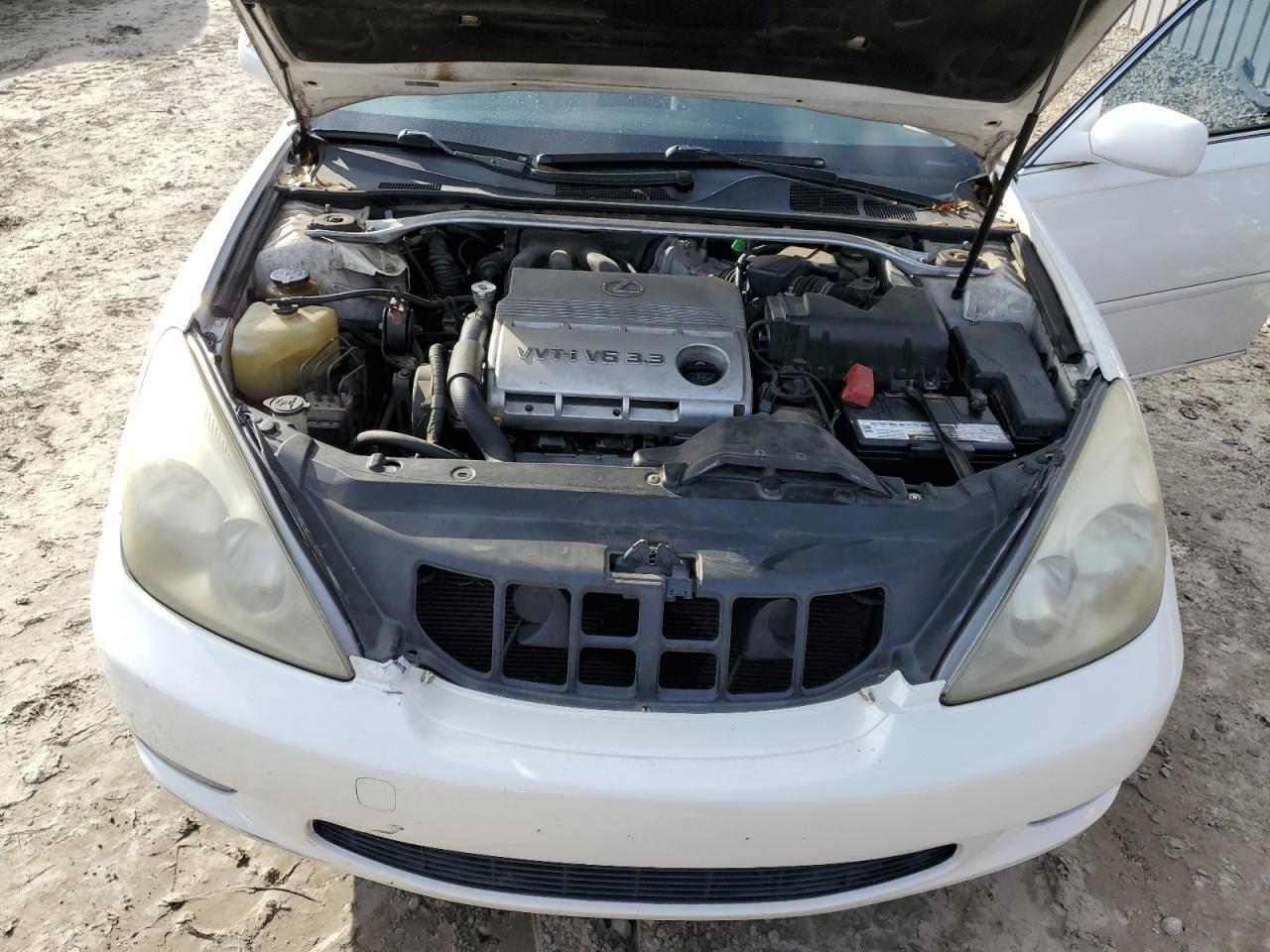 2004 Lexus Es 330 VIN: JTHBA30G545054258 Lot: 88881395