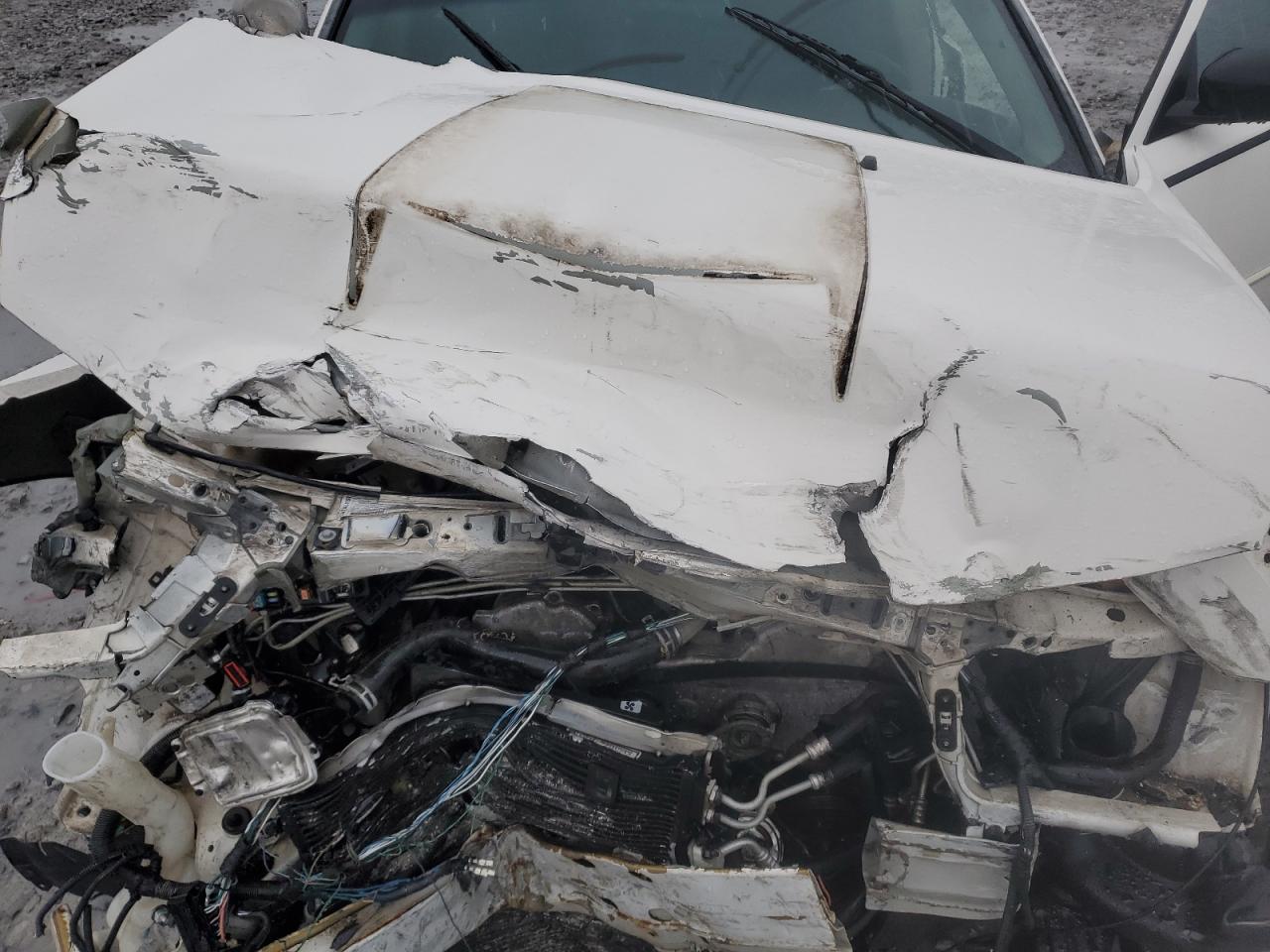 2007 Dodge Charger Se VIN: 2B3KA43G57H776797 Lot: 51591785