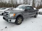 2014 Ford F150 Supercrew للبيع في Cookstown، ON - Minor Dent/Scratches