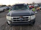 2012 Ford Escape Xlt for Sale in Florence, MS - Front End