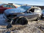 2015 Jeep Cherokee Trailhawk for Sale in Brighton, CO - Front End
