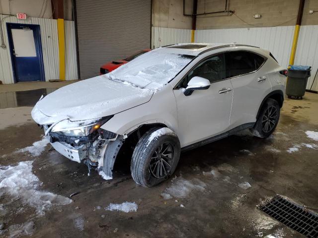  LEXUS NX 350 PRE 2024 Білий