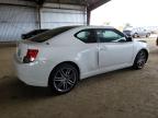 2011 Toyota Scion Tc  for Sale in American Canyon, CA - All Over