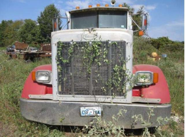 1995 Peterbilt 378 