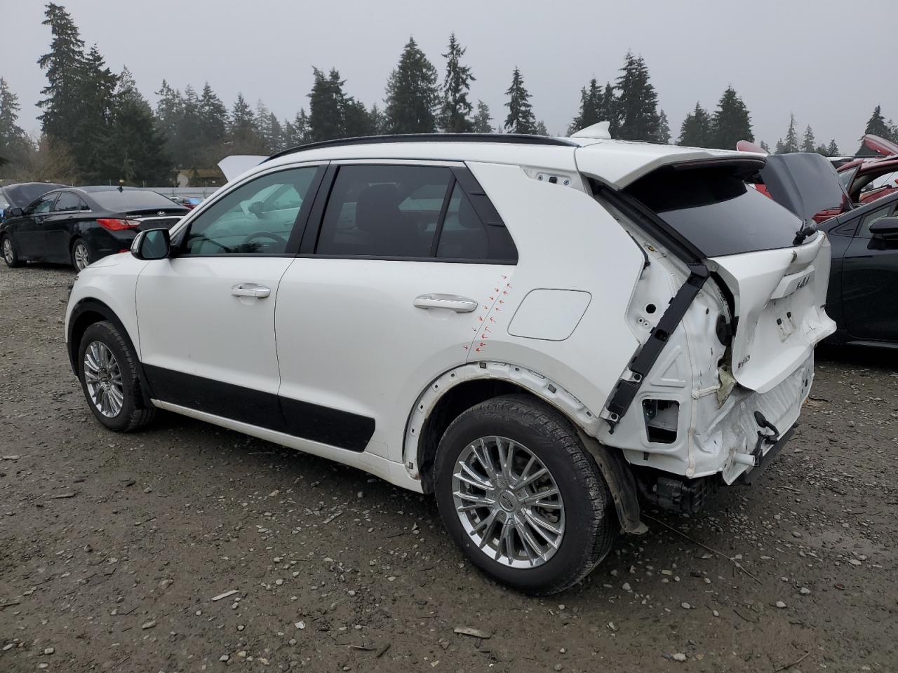 2024 Kia Niro - Image 2