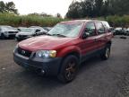 2005 Ford Escape Xlt продається в Kapolei, HI - Rollover