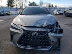 2024 LEXUS NX 350 PREMIUM for sale at Copart ON - TORONTO
