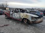 1995 Ford F150  for Sale in Cahokia Heights, IL - Burn