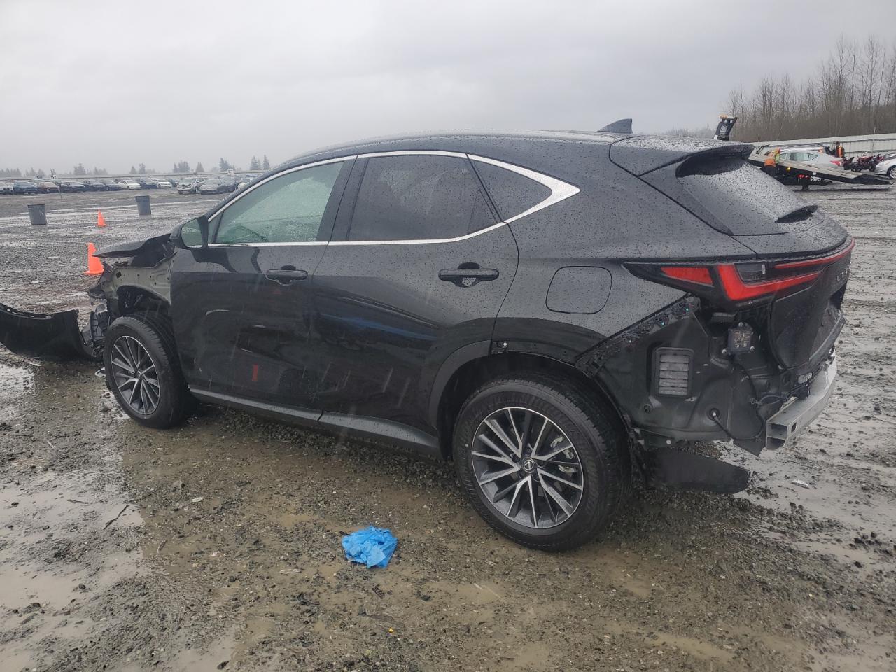 2024 Lexus NX - Image 2