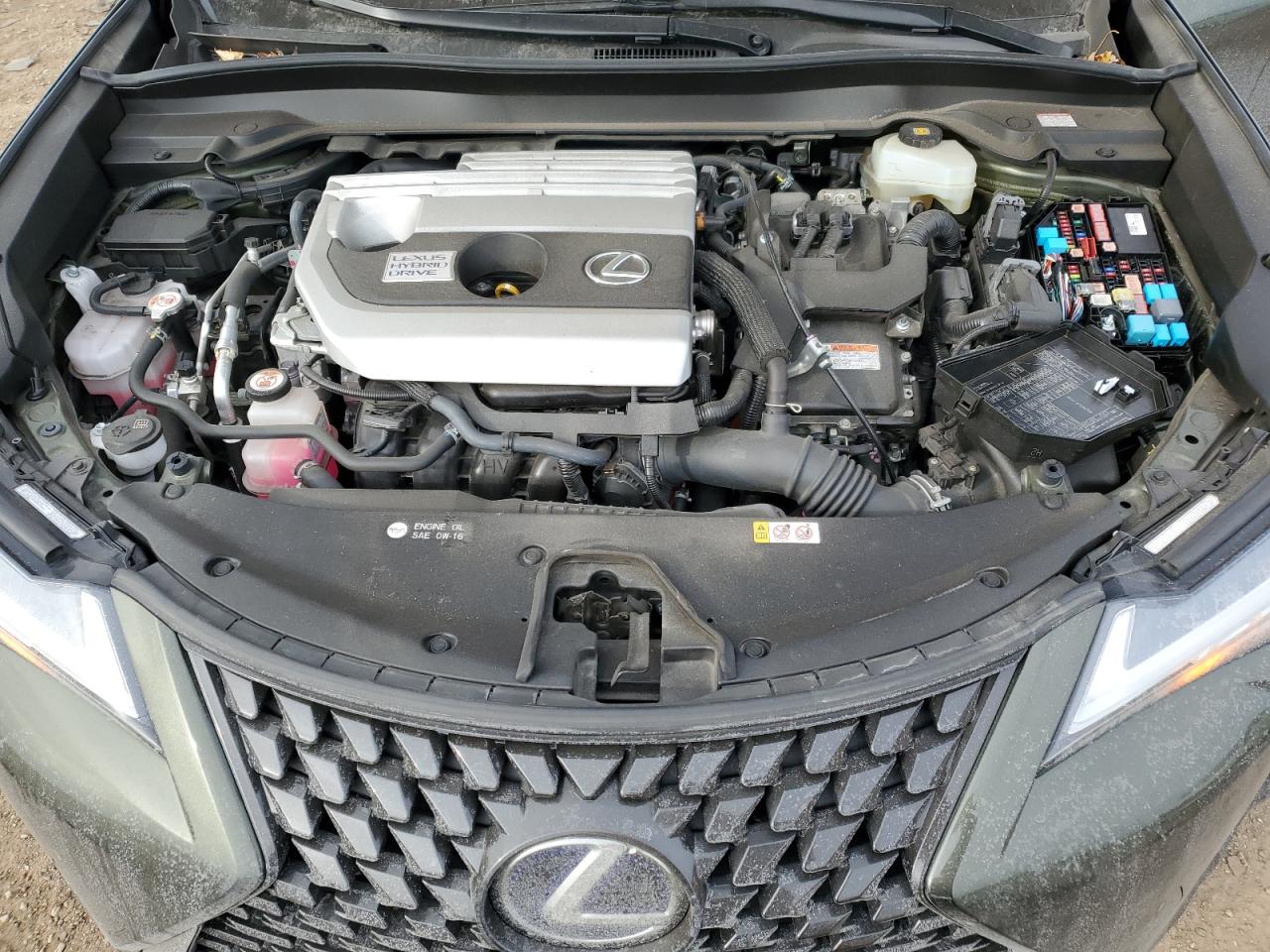 2020 Lexus UX - Image 13