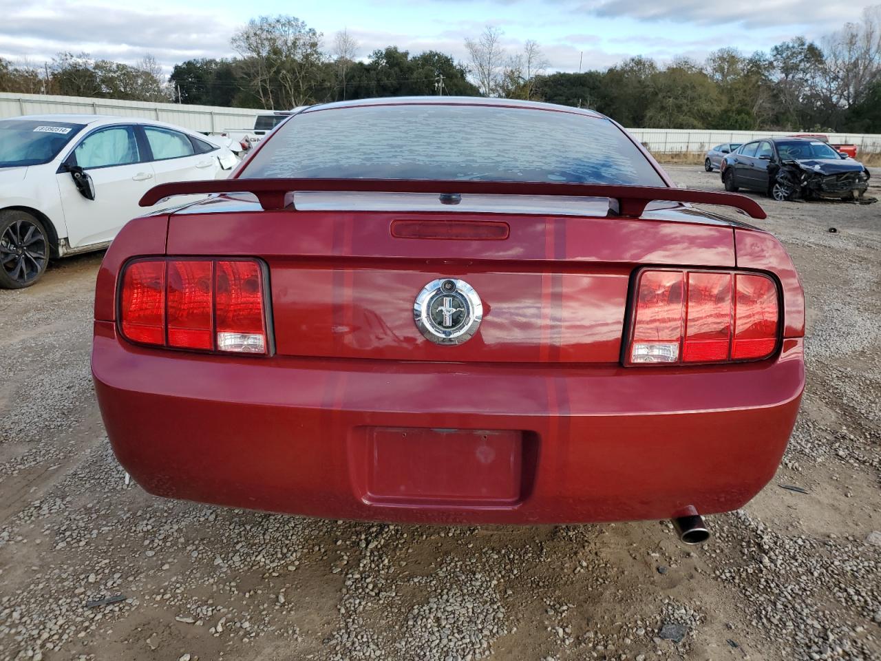 2009 Ford Mustang VIN: 1ZVHT80N095144195 Lot: 86807044