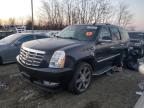 2011 Cadillac Escalade Luxury продається в Windsor, NJ - Normal Wear