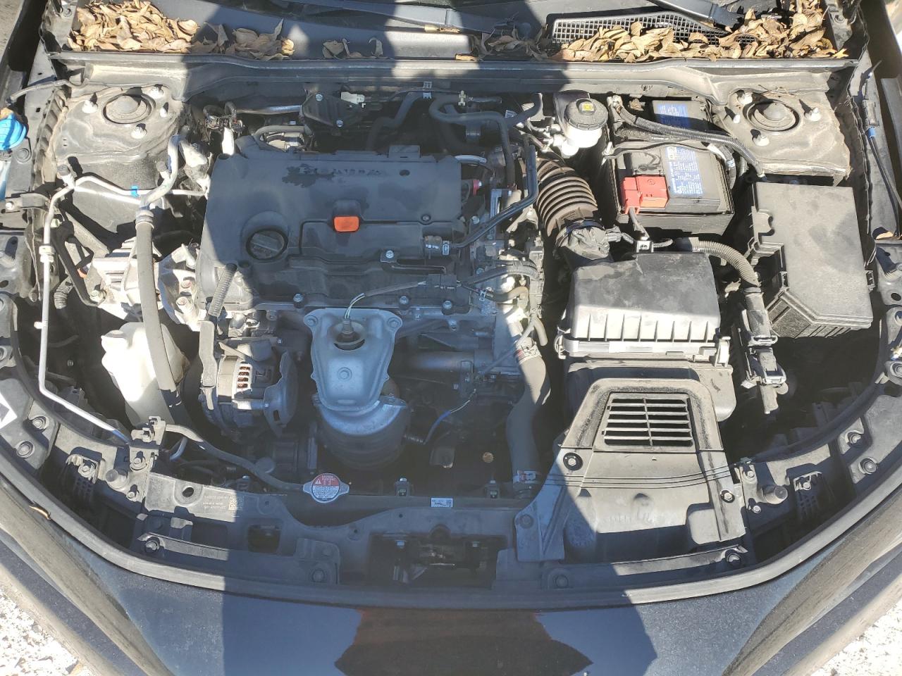 2023 Honda Civic - Image 12