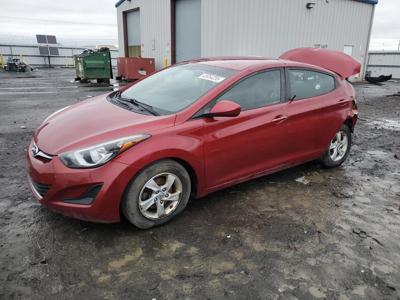 2014 Hyundai Elantra - Image 1