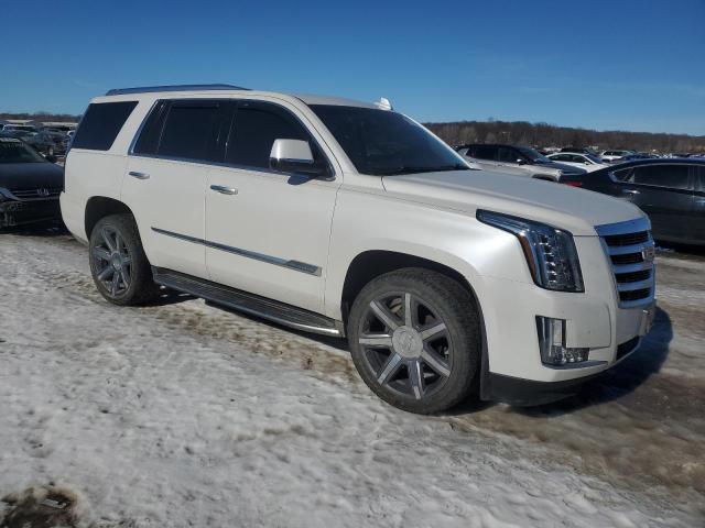 Паркетники CADILLAC ESCALADE 2016 Белый