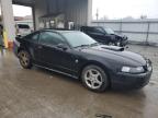 2004 Ford Mustang  للبيع في Fort Wayne، IN - Front End
