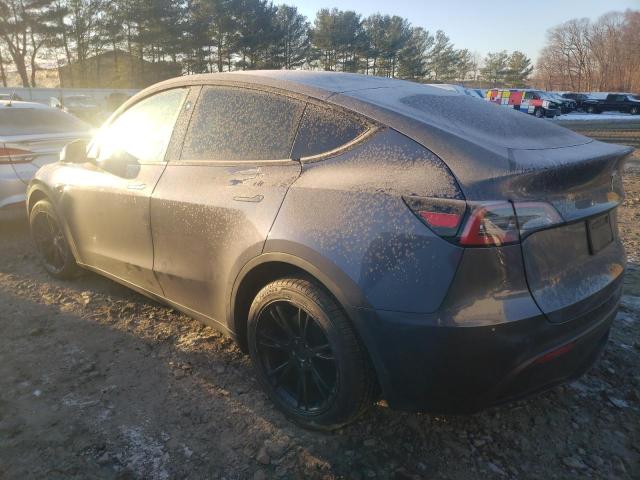  TESLA MODEL Y 2023 Серый