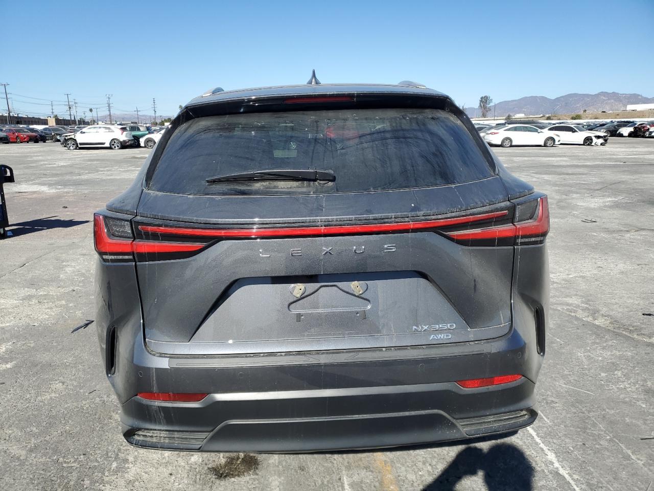 2024 Lexus NX - Image 6