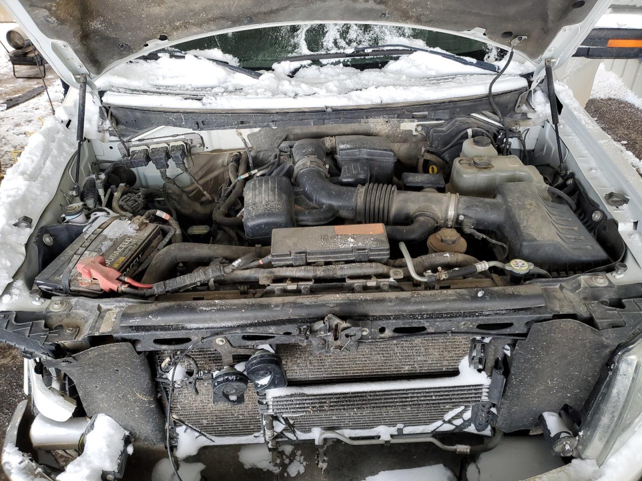 2010 Ford F-150 - Image 11