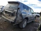 2016 Lexus Gx 460 for Sale in Brighton, CO - Front End