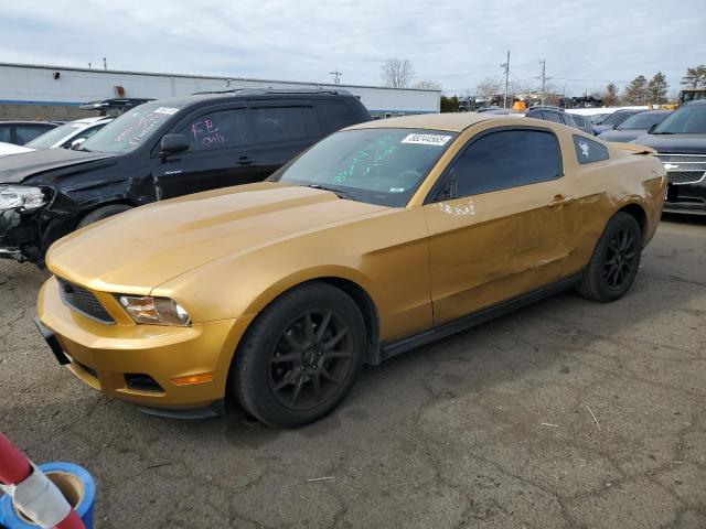 2010 Ford Mustang 