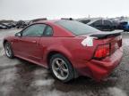 2004 Ford Mustang  იყიდება Rocky View County-ში, AB - Rear End