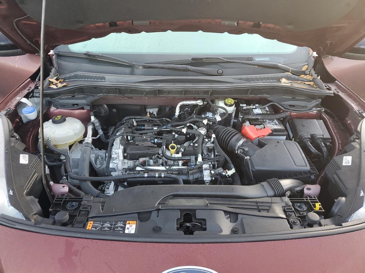 2021 Ford Escape Se VIN: 1FMCU0G65MUA11808 Lot: 86690924