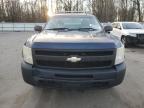 2009 Chevrolet Silverado C1500 за продажба в Glassboro, NJ - Minor Dent/Scratches