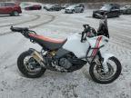 2023 Ducati Desert X  for Sale in Marlboro, NY - Front End