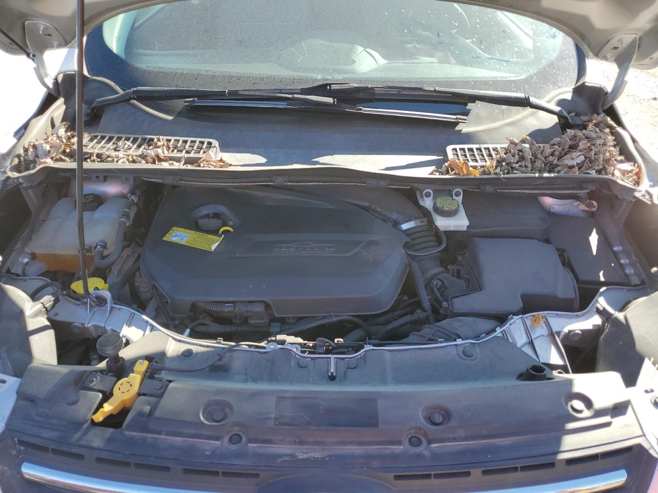 2014 Ford Escape - Image 12