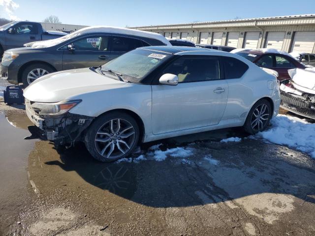  TOYOTA SCION 2016 Білий
