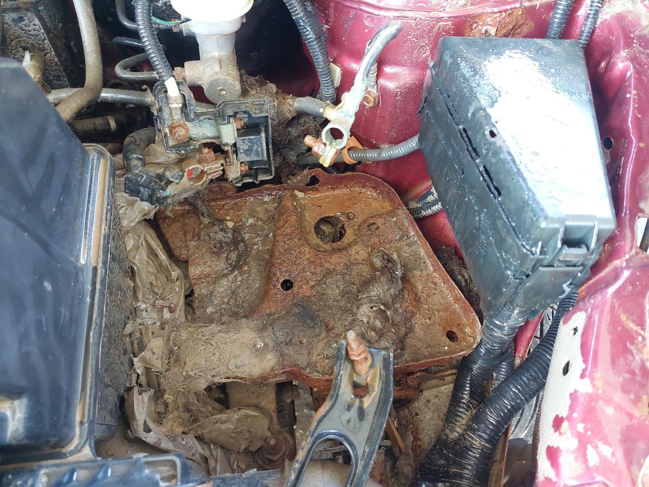 MRHGD66214P918461 - 2004 Honda City - #87786475
