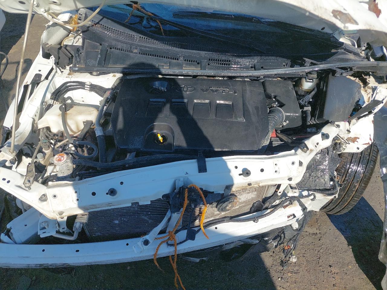 RKLBL9HE6K5268175 - 2019 TOYOTA COROLLA - #87134834