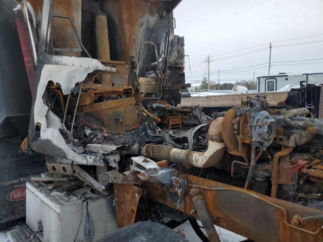 2011 PETERBILT 365   