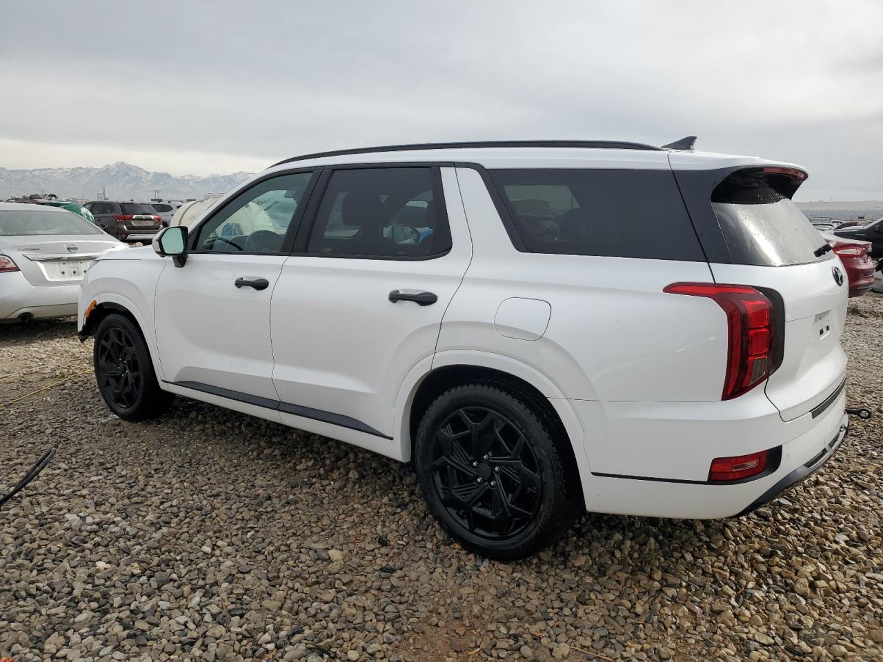 2021 Hyundai Palisade - Image 2