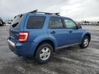 2010 Ford Escape Xlt de vânzare în Ham Lake, MN - Front End